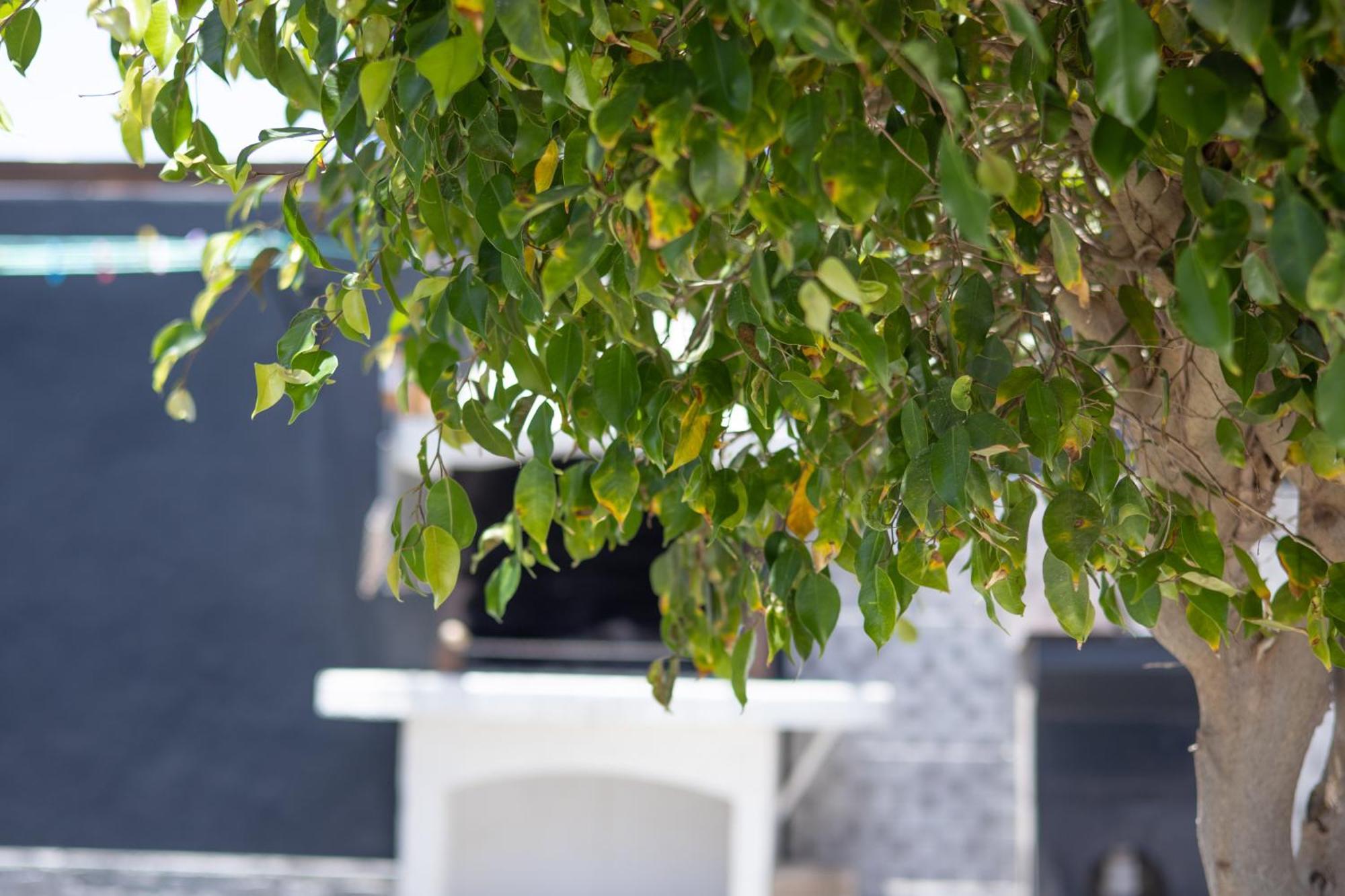 Villa Iseo Playa Blanca  Exterior foto